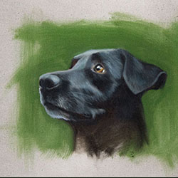 Portrait 3